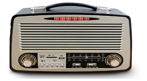 Radio Portátil Inalámbrica Vintage Audiopro /03-ap02051