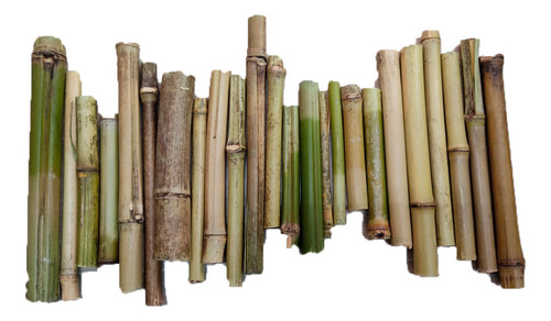 Palos De Bambu Decorativos 