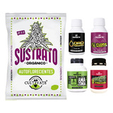 Sustrato Auto 25lt Amazonia Oro Negro Flora Trico+ 100ml