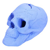 Calavera Humana Imitada De Cerámica Para Interiores O Exteri