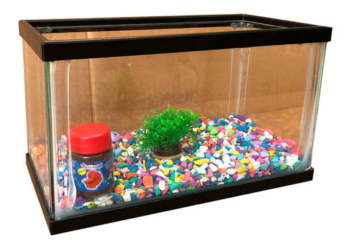 Kit Completo Pecera Acuario Para Pez Betta Alimento 