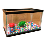 Kit Completo Pecera Acuario Para Pez Betta Alimento 