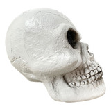 Decoração Halloween Crânio De Plástico Branco Melhor Preço