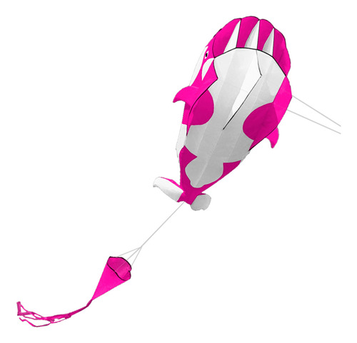 Kite Flying Kite Kite Parafoil 3d Con Forma De Ballena Gigan