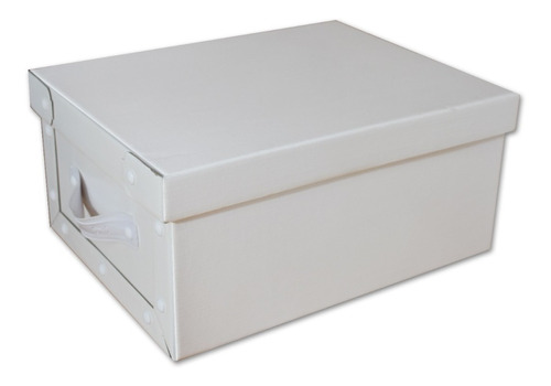 Caja Baulera Organizadora Grande 48x36x22cm Con Manija 