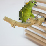 Hamiledyi - Jaula Para Pájaros (madera)