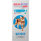 Anti Pulgas Bravecto Plus Para Gatos De 2,8kg A 6,2kg