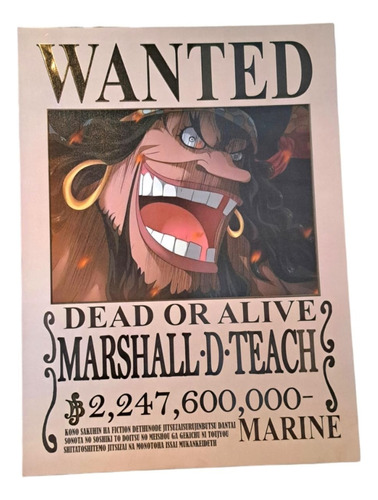 One Piece Poster De Se Busca Cartel Varios Personajes 1 Pz 