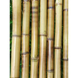 Caña De Bambu/ Tacuara 2 Metr X 2 Cm Diametro X 10 Unidades