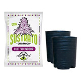 Sustrato Cultivate Indoor Orgánico 25lt Con Soplada 10lts 2u