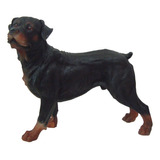 Cachorro Rottweiler Enfeite Decorativo Estatua Resina