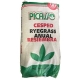 Semilla Rye Grass Anual Picasso  25kgs 1 Bolsa X Envío Cuota