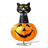 Alcoba De 36  Con Luz De Halloween Gato Negro En La Calabaza