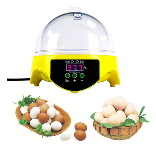 Mini Incubadora Automática Pequeña Y Barata De 7 Huevos