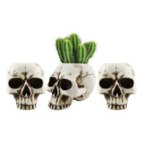 Darware Mini Jarrones De Calavera (paquete De 3); Decoración