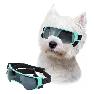 Gafas Namsan Para Perros Gafas De Sol Pequeñas Para Perros | Meses sin interés