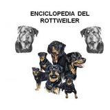 Enciclopedia Del Rottweiler, Adiestramiento Canino, Cachorro