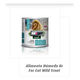 Lata Br Wild Cat Trucha 400 Gr Pack*5 