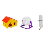 Kit Brinquedo Hamster Acessórios Casa Bebedouro Cor Sortidas