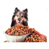 Programa  Pet Shop - Veterinarias- Alimentos Mascotas