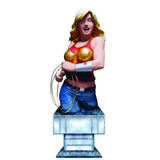 Busto: Chica Maravilla, Dc Universe, Serie 2.