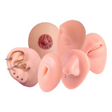 5 Orelha Mostruário Para Piercing  De Silicone