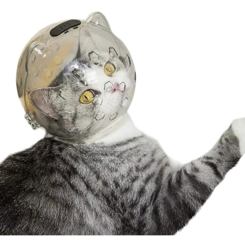 Casco Protector Para Gatos Bozal Antimordedura De Mascotas M