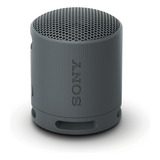 Bocina Portatil Sony Srs-xb100 Bluetooth Negro