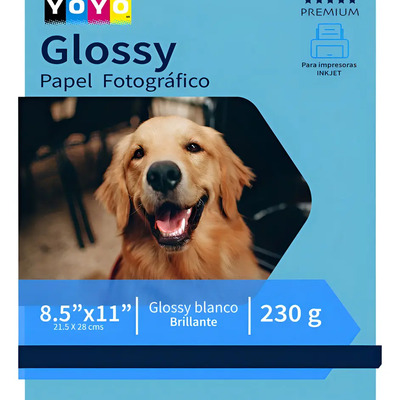 10 Paq Papel Foto Glossy Carta 230g 20 Hojas C\u002Fu Yoyo Blancoo | Meses sin interés
