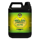 Melon Detergente Automotivo 5l Easytech