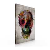 Cuadro Decorativo Moderno Para Sala Recamara Calavera