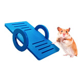 Brinquedo Hamster Porquinho Da India Mini Animais De Gaiola