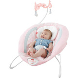 Bouncer Mecedora Fisher Price Niña Bebe Dmj31