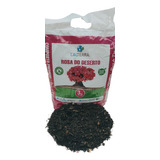 3kg Substrato Rosa Do Deserto Composto Premium Calterra