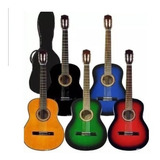 Guitarra Criolla Trovadorestudio Principiante Colores Funda