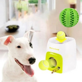Gift Gift Ball Ball Interactive Toy Feed Holder