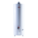 Termotanque A Gas 120 Lts Pie Sherman Rheem Gtia. Oficial