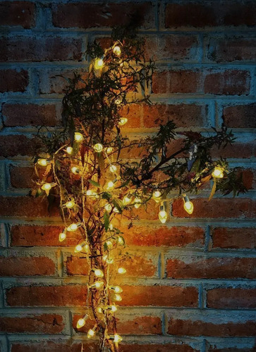 Series Navideñas De Corazon Elige Color 100luces 5.1mt