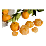 Plantas De Mandarinas Con Frutos Pack De 2