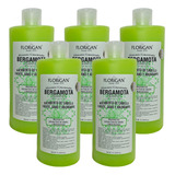 Shampoo Bergamota Florigan 1lt Crecimiento De Cabello Pack 5