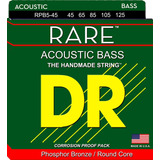 Raro Phosphor Acoustic5 String Bass 45125