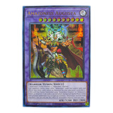 Yugi-oh! Amazoness Augusta Mp23-en223 Ultra