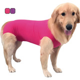 Roupa Protetora Castração Cachorro Fêmea Rosa N0 Vani Pet