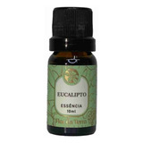 Essência Flor Da Terra Para Aromatizador Eucalipto