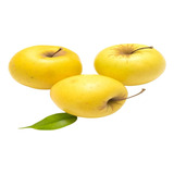 Arbolitos De Manzana Amarilla Golden Injertado