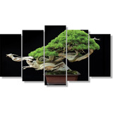 Quadro Decorativo Bonsai Árvore Miniatura Japonês Cultivo