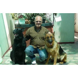 Adiestramiento Canino Profesional - Jorge Arazi