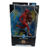 Figura De Accióndc Multiverse Flash The Flash