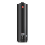 Termotanque Rheem Confort Apg160lrh07 Negro 160l