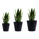 Vaso De Plantas Artificial Preto Para Decoração 4 Unid.